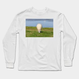 Sheep on a dyke, North Sea resort of Dangast, Varel-Dangast Long Sleeve T-Shirt